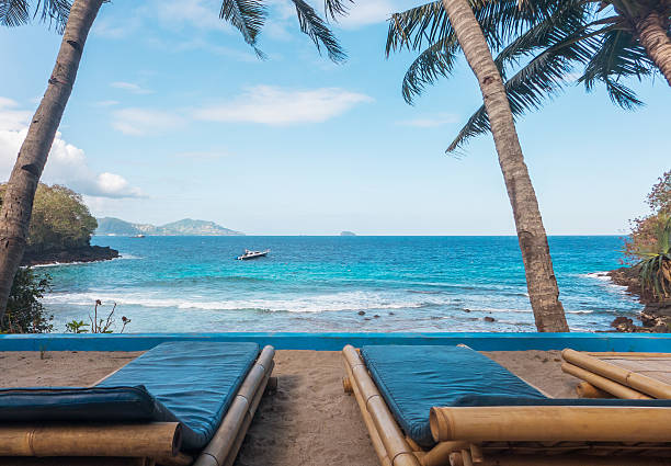 A stunning view secluded beach with palm trees