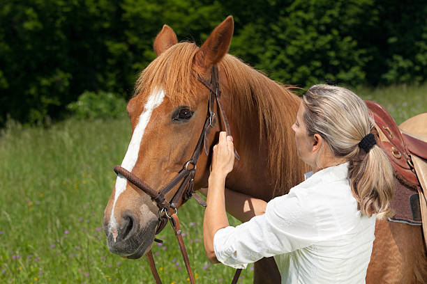 istock woman bridle horse 466729277