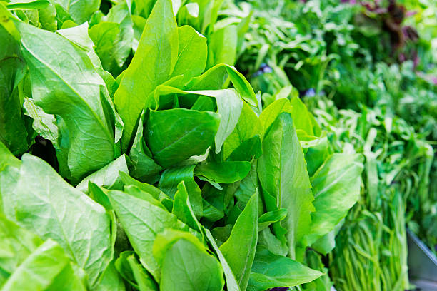 verdura in foglia - for sale industry farmers market market stall foto e immagini stock