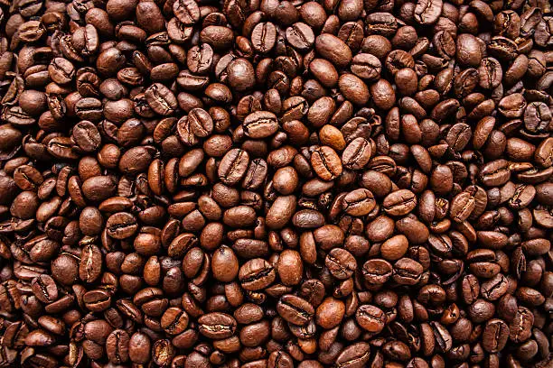 Photo of Coffee Bean