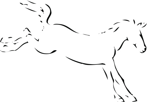 vector: the outlines of a young stallion (horse) in motion