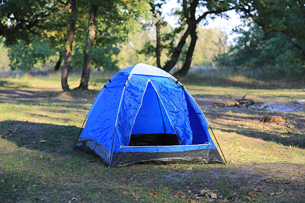 istock Tourist tent in forest 466737444