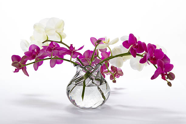 istock Bouquet of orchids 466737809