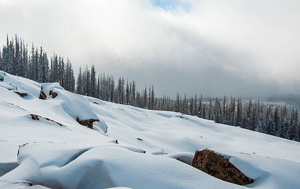 colorado back país hidden manchas en complejo de esquí wolf creek - back country skiing fotos fotografías e imágenes de stock