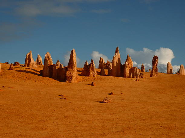 istock Pinnacle in Nambung national park 466741990