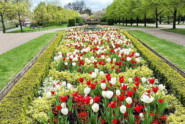 istock Flower alley in the park 466742795