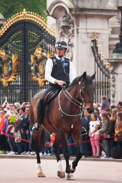 cheval de police à londres - household cavalry photos et images de collection