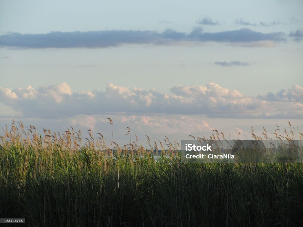 Usedom "Achterwasser", Recreation and Relaxation at Baltic Sea Recreation at the Achterwasser - Island Usedom - Baltic Sea 2015 Stock Photo