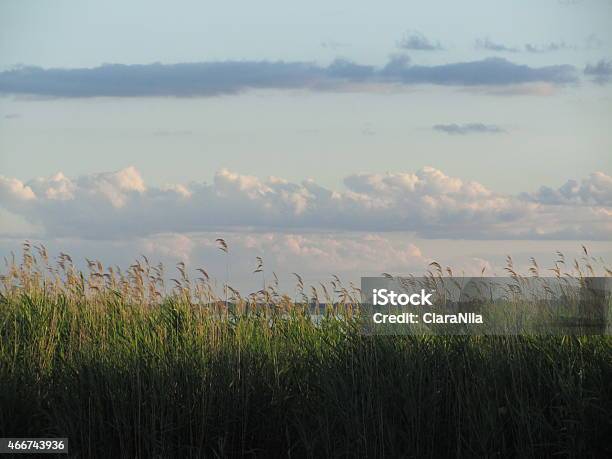 Usedom Achterwasser Recreation And Relaxation At Baltic Sea Stock Photo - Download Image Now