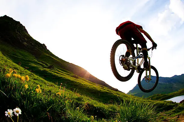 A male mountain biker hits a jump while riding past an open field of flowers in France.