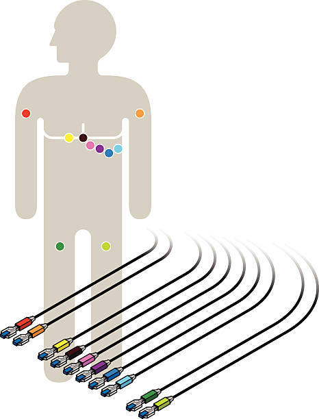 ekg i ekg diagram okablowania - electrode stock illustrations