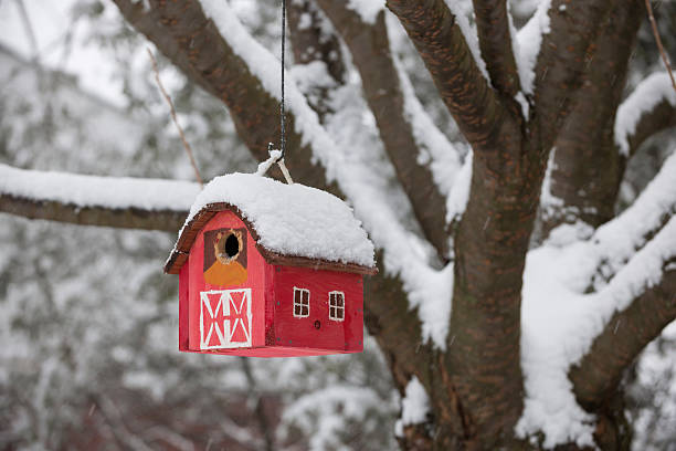 Red bird house hanging outdoors in winter on tree covered with snow
