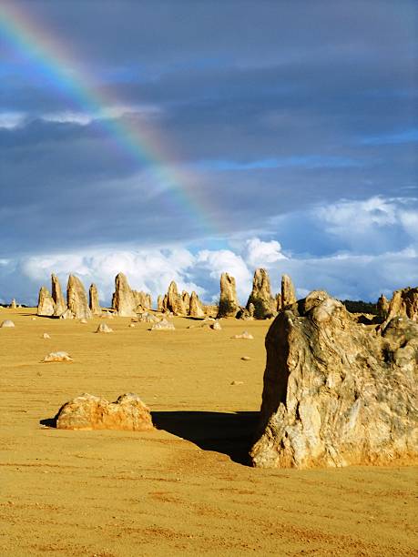istock Pinnacle in Nambung national park 466750232