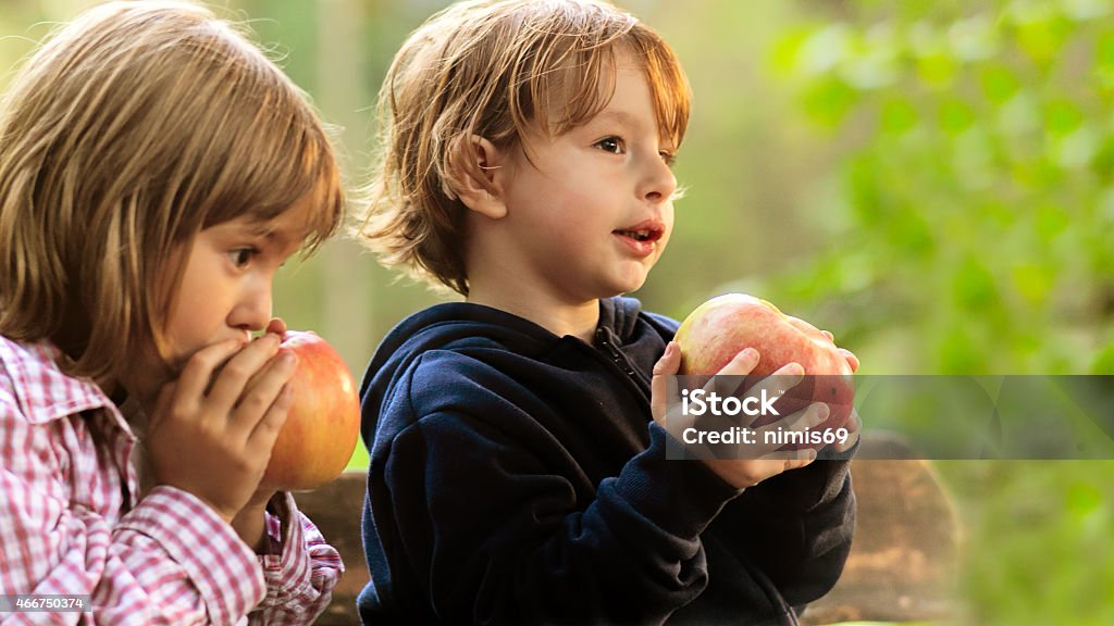 Kindergarten children eating apple 2015 Stock Photo
