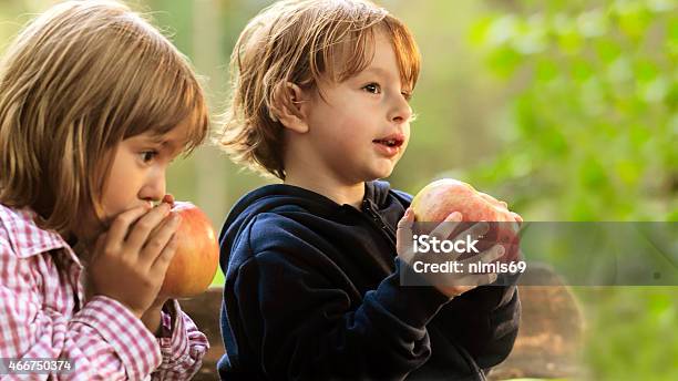 Kindergarten Children Eating Apple Stock Photo - Download Image Now - 2015, 4-5 Years, 6-7 Years