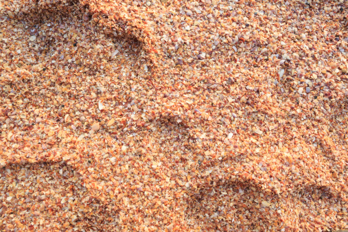 A full frame shot of a beach consisting of shell fragments.
