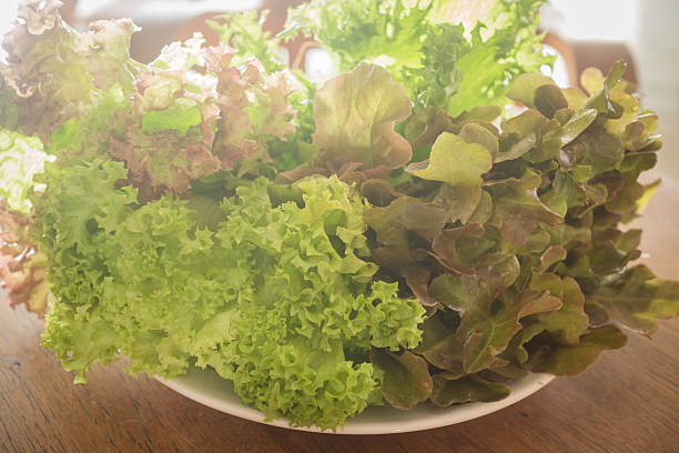 istock Fresh organic mix salad vegetable 466754152