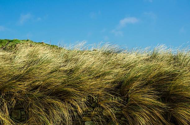 istock Summertime Grasses Behind a Dry Stone Wall with Blue Sky 466754450