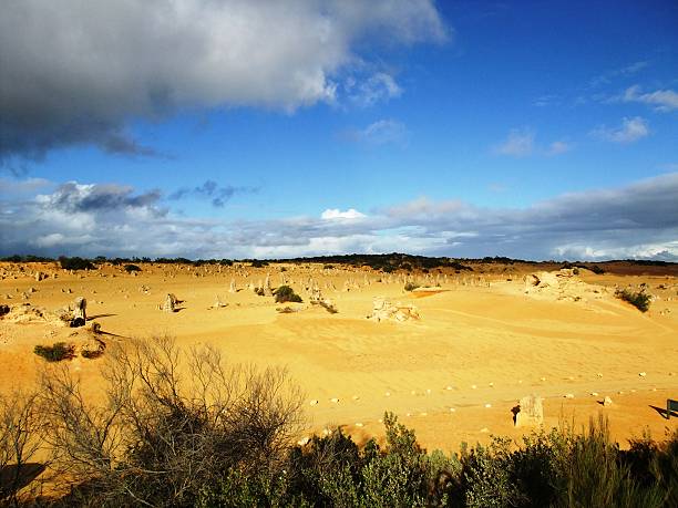 istock Pinnacle in Nambung national park 466755362