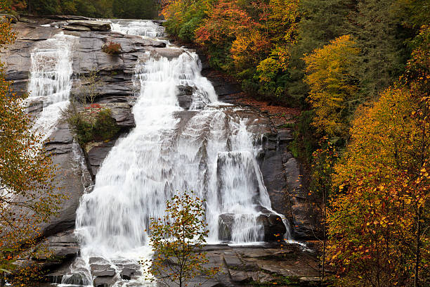 ハイフォールズ、ノースカロライナ州 - dupont state forest ストックフォトと画像