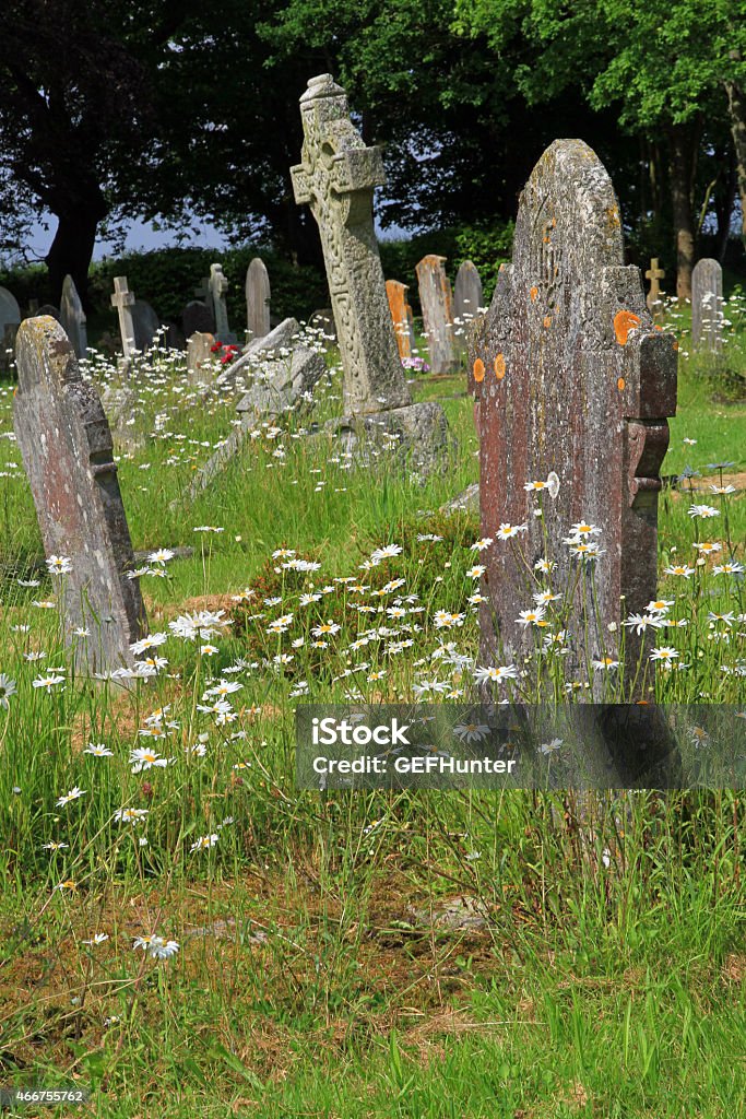 Old English Graveyard There is a quiet beauty in an old English graveyard where daisies huddle around stones of memory and soften their dark appearance. 2015 Stock Photo