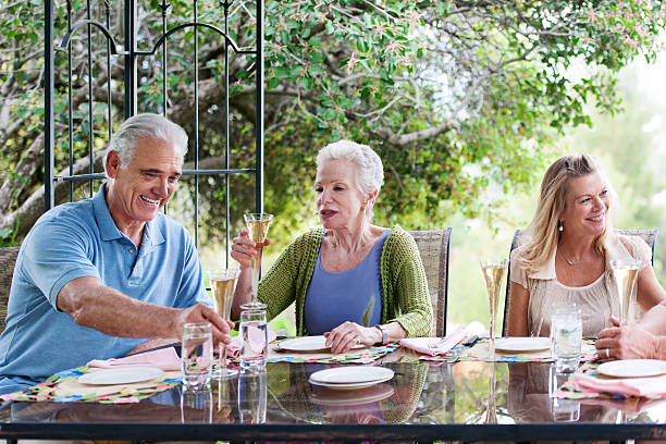 istock Group of seniors having an outdoors party 466758430