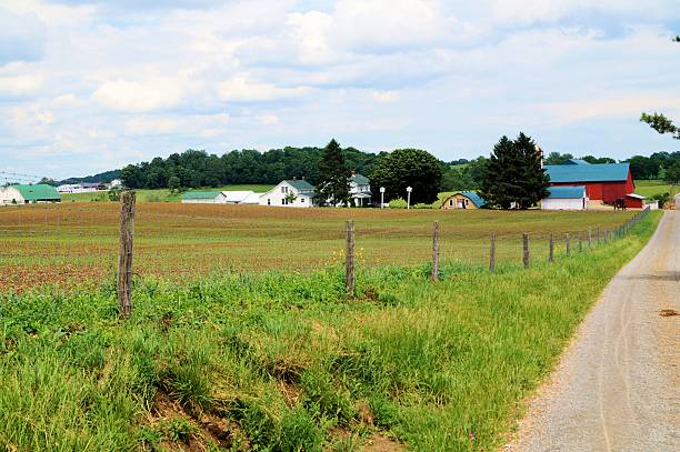 istock Farm in Holmes County, Ohio, USA 466759367