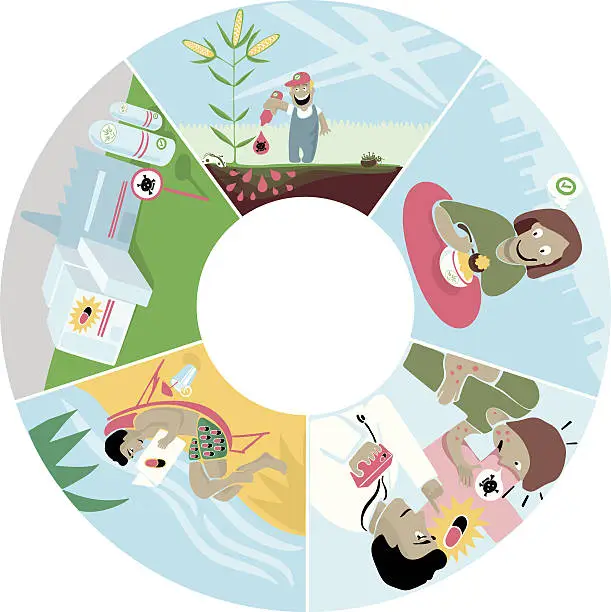 Vector illustration of cause and effect circle of profit: agriculture and healthcare