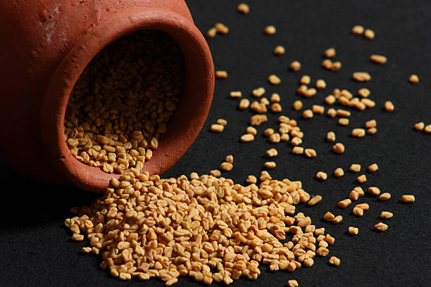 Fenugreek is used both as an herb and a spice stock photo