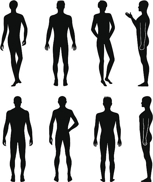 ilustrações de stock, clip art, desenhos animados e ícones de frente de comprimento total, trás a silhueta do homem - rear view human arm naked men
