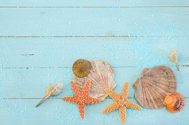 istock Aqua background with starfish and seashells 466767302