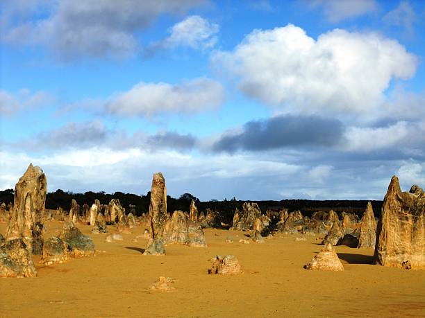 istock Pinnacle in Nambung national park 466768080