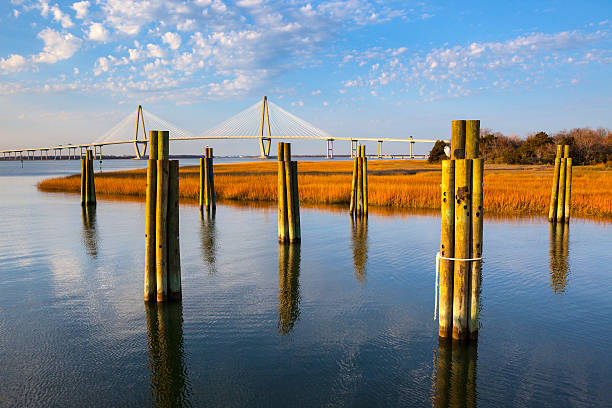 arthur ravenel jr.  puente de charleston - arthur ravenel fotografías e imágenes de stock