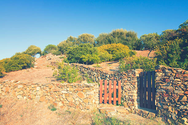 istock Garden gate  and stone wall by the wayside 466771906