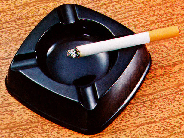 Cigarette in Ashtray http://csaimages.com/images/istockprofile/csa_vector_dsp.jpg natural pattern photos stock illustrations