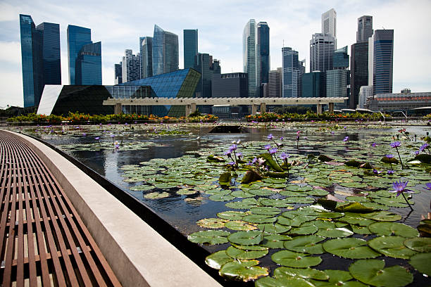 istock Panorama of Singapore 466778909