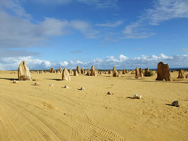 istock Pinnacle in Nambung national park 466786064