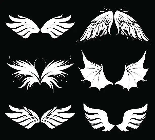 Vector illustration of Set of vector wings