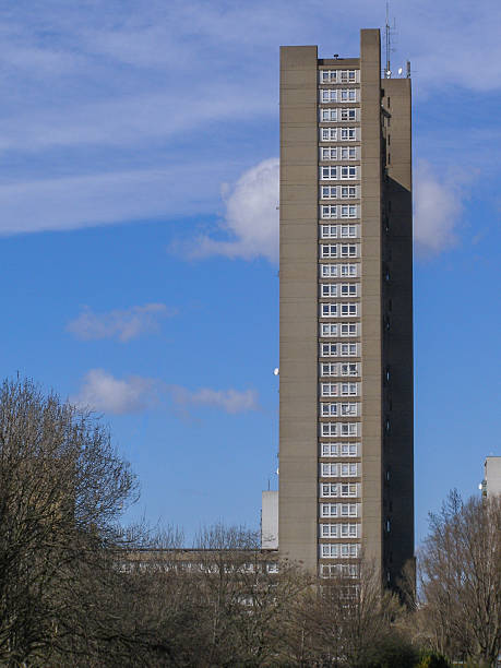 Trellick Tower in London London, UK - March 7, 2008: The Trellick Tower in North Kensington designed by Erno Goldfinger in 1964 is a Grade II listed masterpiece of new brutalist architecture trellick tower stock pictures, royalty-free photos & images