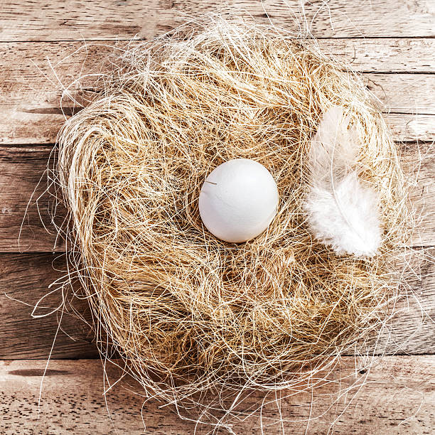 istock Easter nest with White Egg and feather on wooden 466790915