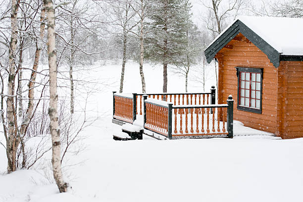 istock Typical Norwegian hut with birch trees in snow 466793769