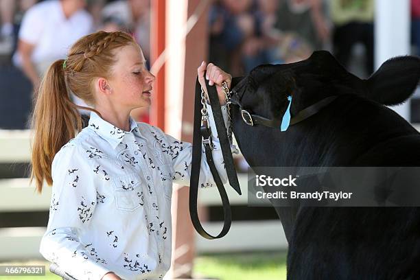 Showing At A County Fair Stock Photo - Download Image Now - Exhibition, Performance, Showing