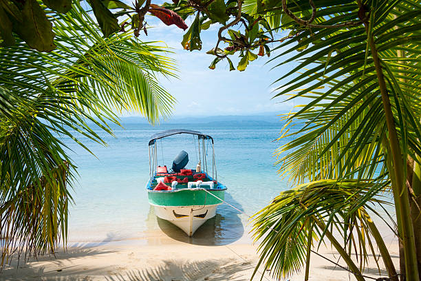 Motor boat tied on the shore of a tropical beach framed with palm leaves.
