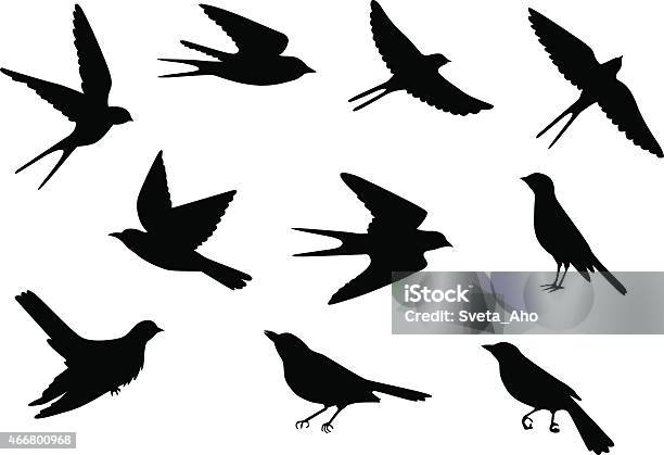 Birds Pattern Stock Illustration - Download Image Now - Bird, In Silhouette, Swallow - Bird