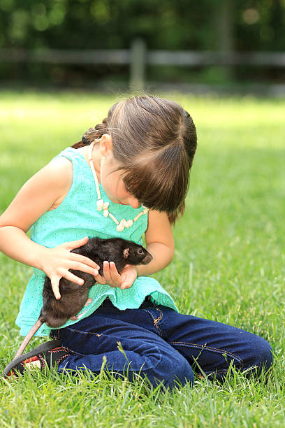 istock Little Girl with pet rat. 466804086