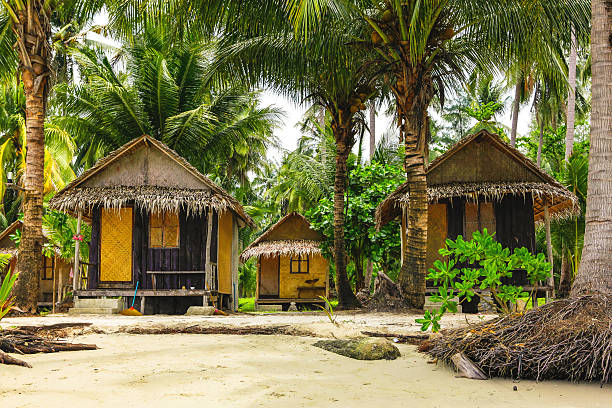 istock wooden bungalows in tropic forest 466804156