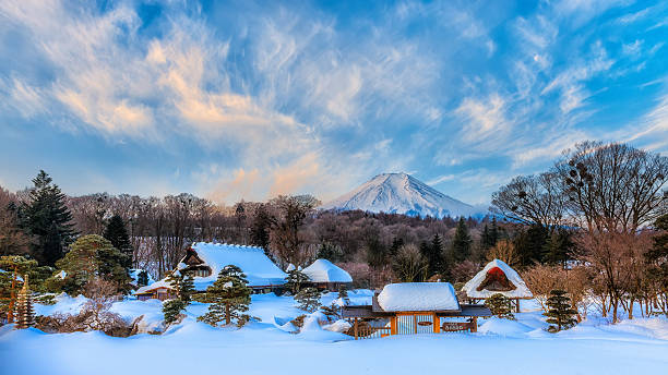 Japan Winter