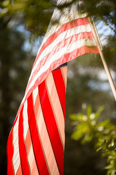 istock USA flag blowing in breeze. Pine trees foreground. Sunny day. 466813614