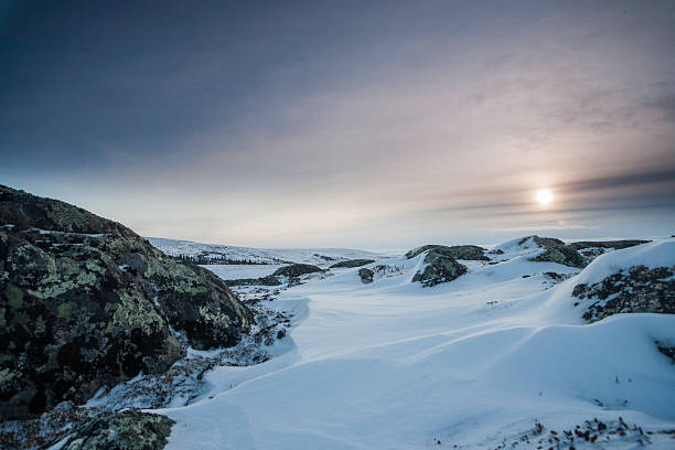 arctic sun - 努勒維特地區 個照片及圖片檔
