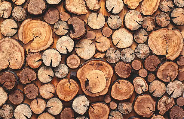 Photo of Abstract photo of a pile natural wooden logs background